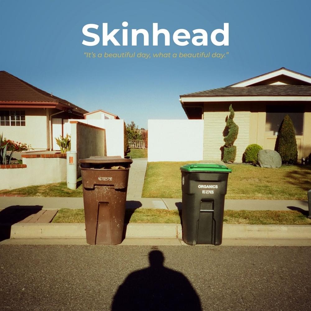 SKINHEAD - IT'S A BEAUTIFUL DAY, WHAT A BEAUTIFUL DAY LP