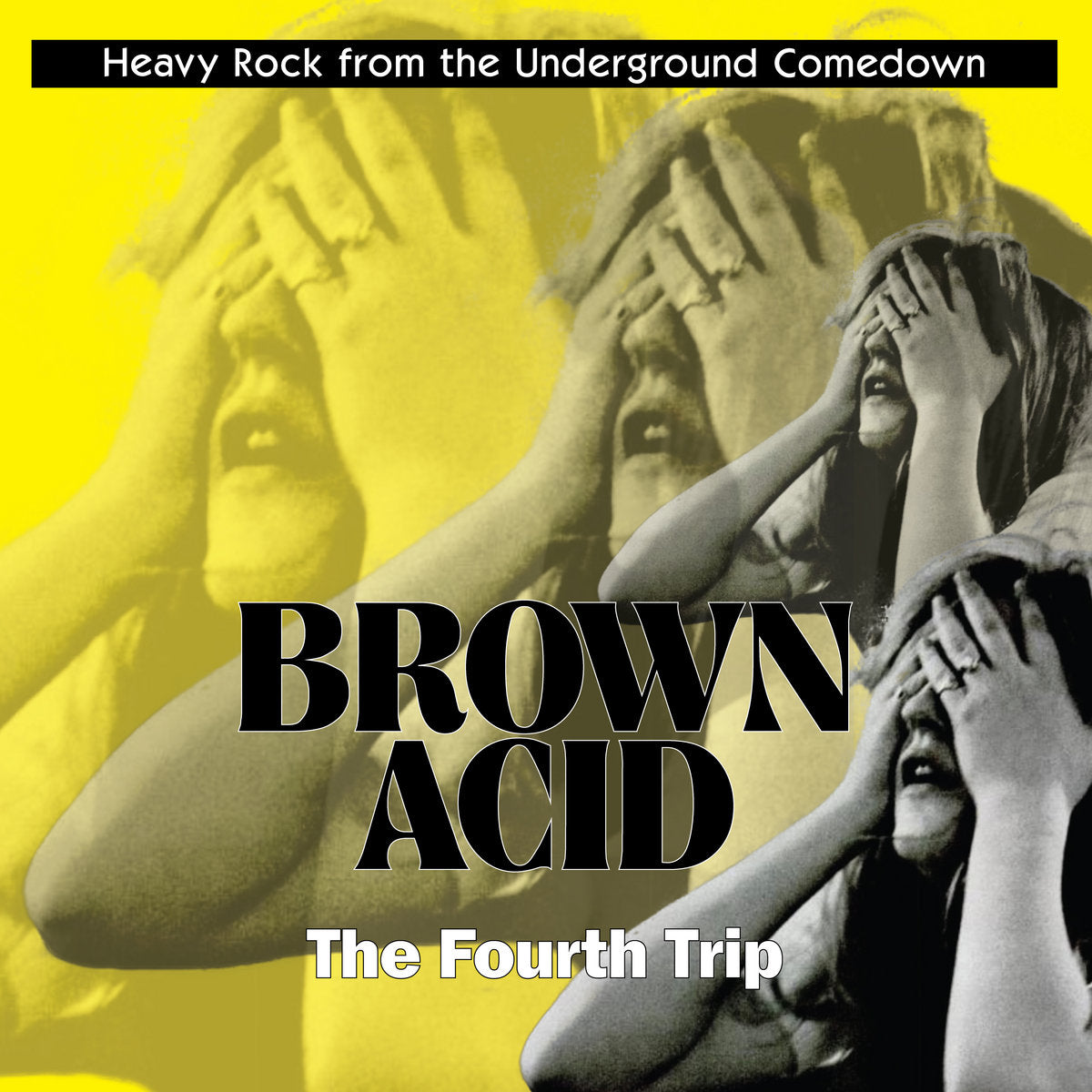 VARIOS - BROWN ACID THE FOUTH TRIP LP