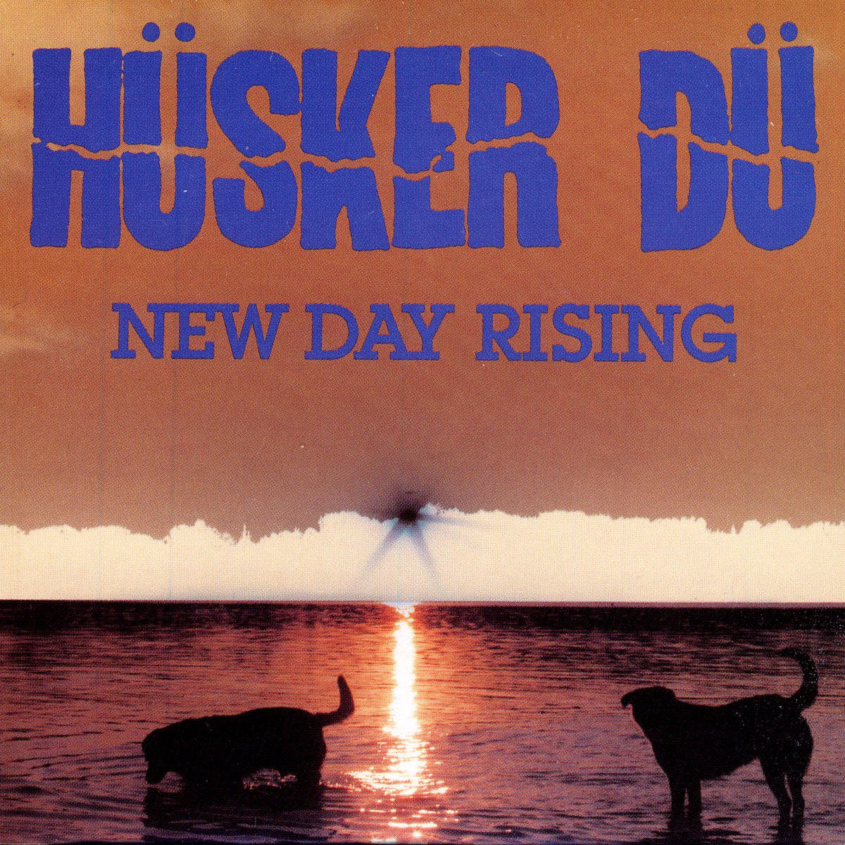 HÜSKER DÜ - NEW DAY RISING LP