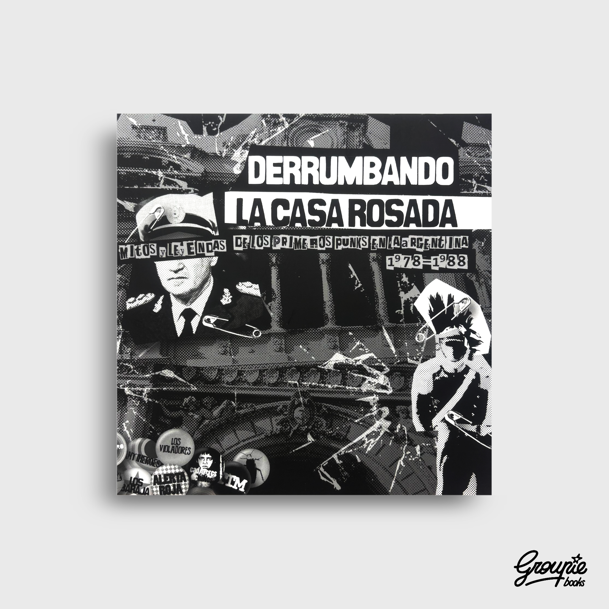 DERRUMBANDO LA CASA ROSADA - MITOS Y LEYENDAS DE LOS PRIMEROS PUNKS EN ARGENTINA LIBRO