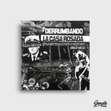 DERRUMBANDO LA CASA ROSADA - MITOS Y LEYENDAS DE LOS PRIMEROS PUNKS EN ARGENTINA LIBRO