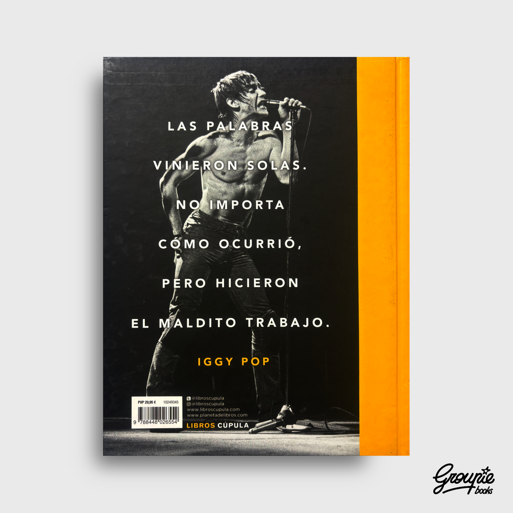 IGGY POP - TILL WRONG FEELS RIGHT LIBRO