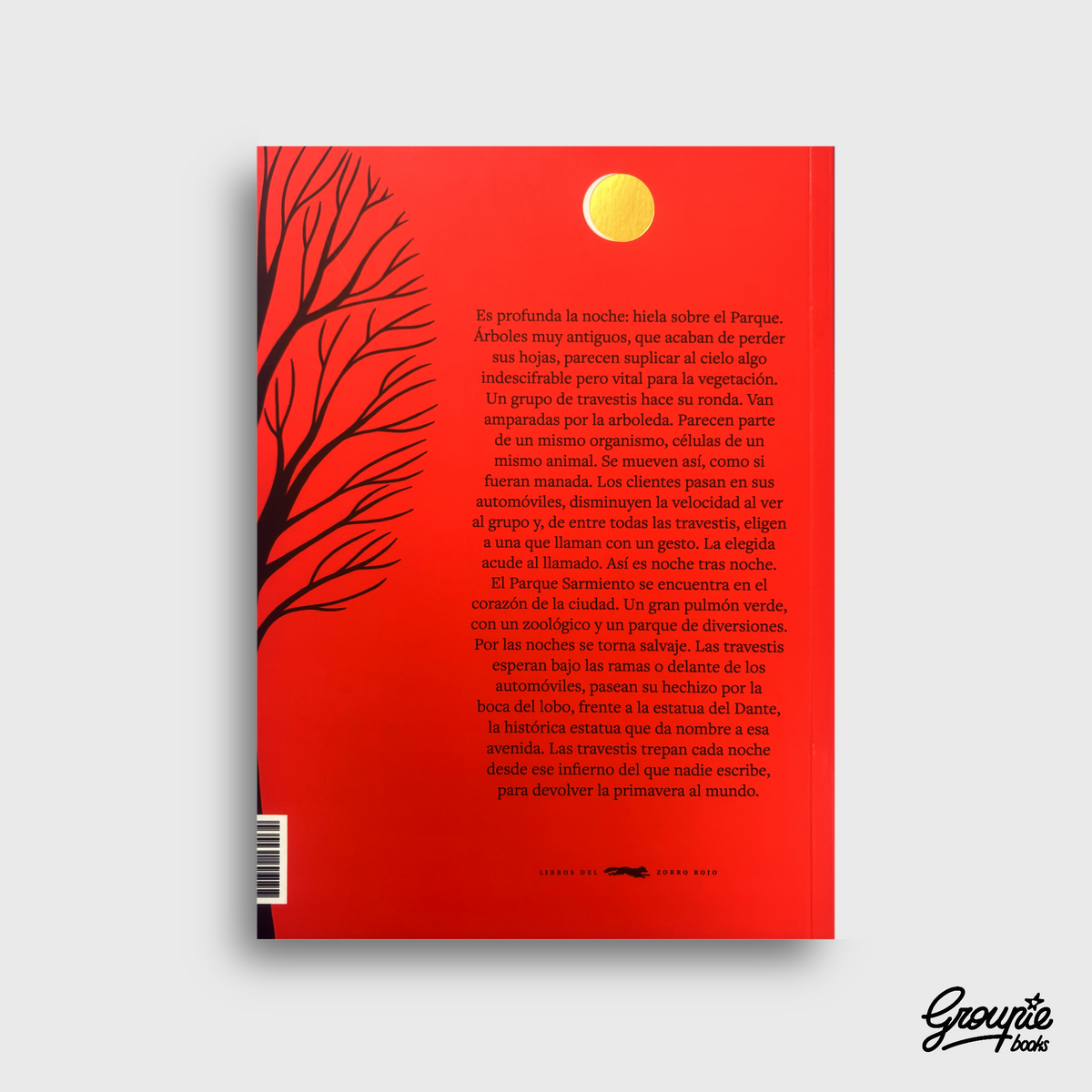 LAS MALAS LIBRO