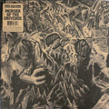 KING GIZZARD & THE LIZARD WIZARD - MURDER OF THE UNIVERSE (COLOR) LP