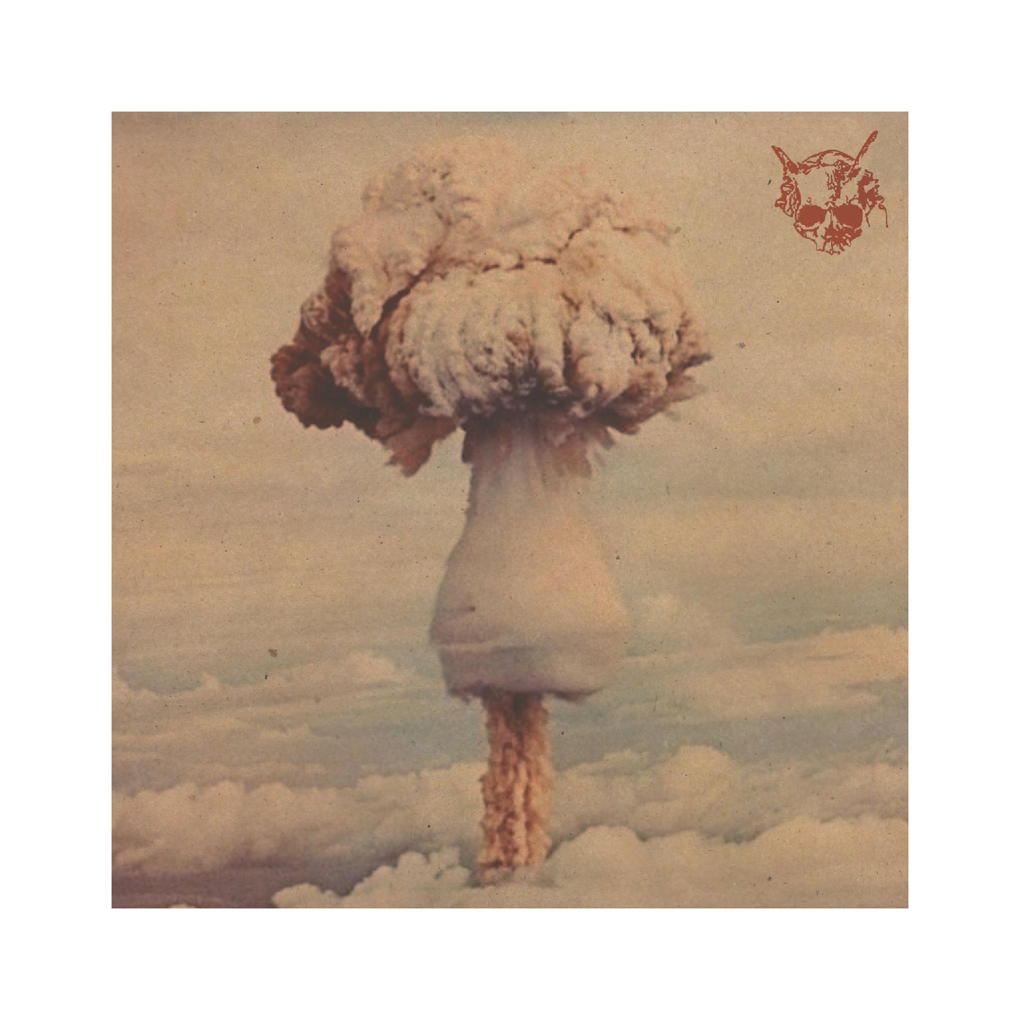 SEXPILL- IN DUST WE TRUST LP