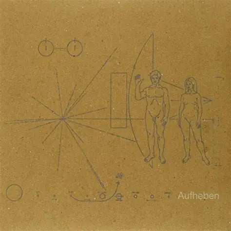 BRIAN JONESTOWN MASSACRE - AUFHEBEN (GATEFOLD) 2XLP