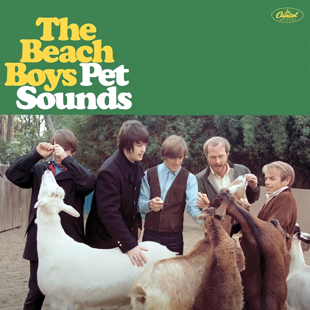 THE BEACH BOYS - PET SOUNDS (USADO) LP