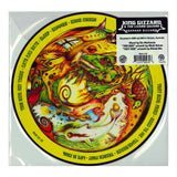LP KING GIZZARD AND THE LIZARD WIZARD - TEENAGE GIZZARD (PICTURE DISC)