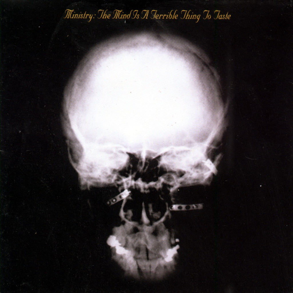 MINISTRY - THE MIND IS A TERRIBLE THING 2XLP