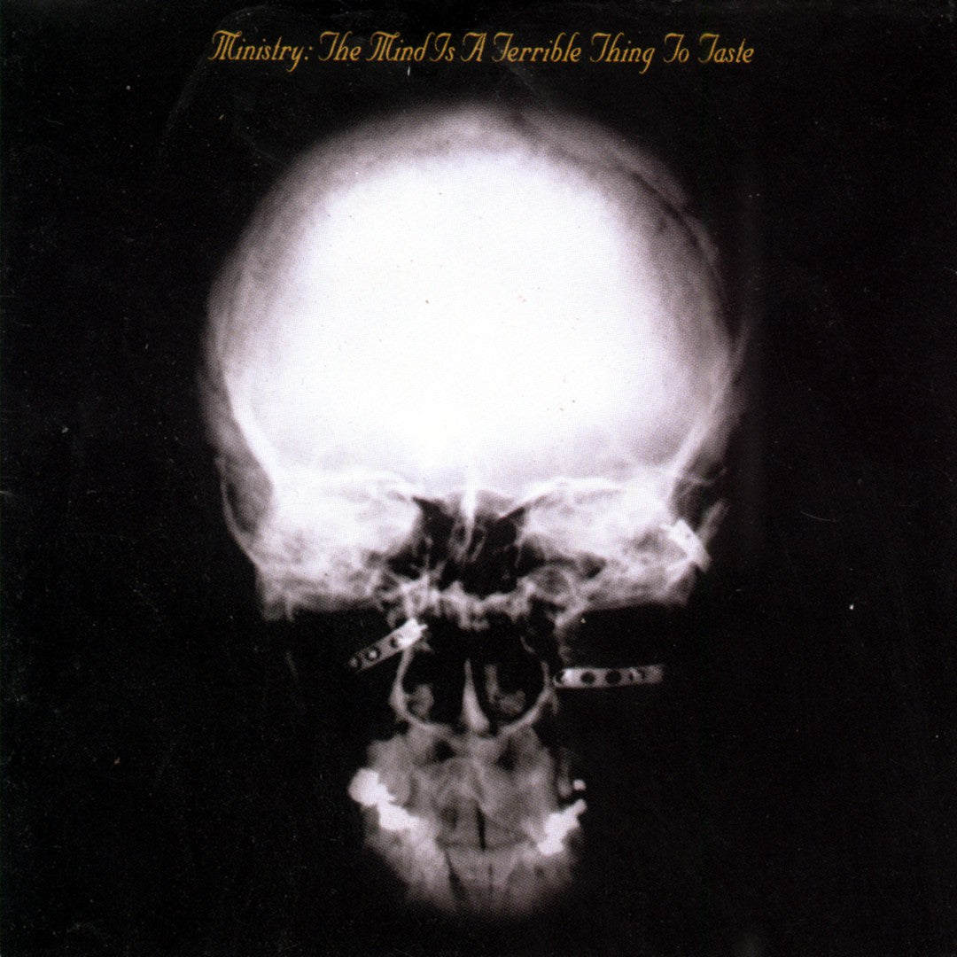 MINISTRY - THE MIND IS A TERRIBLE THING 2XLP